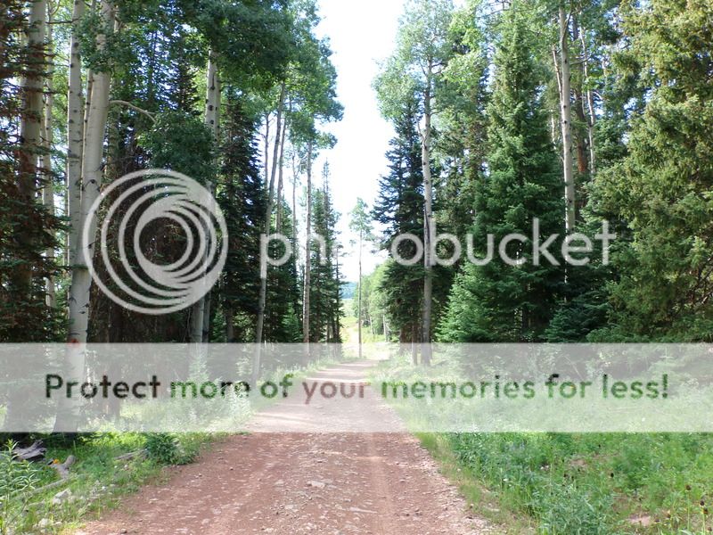 Wagon Wheel Trails Meeker Colorado Polaris ATV Forum